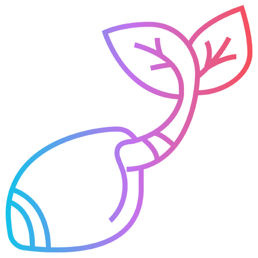 icon 2